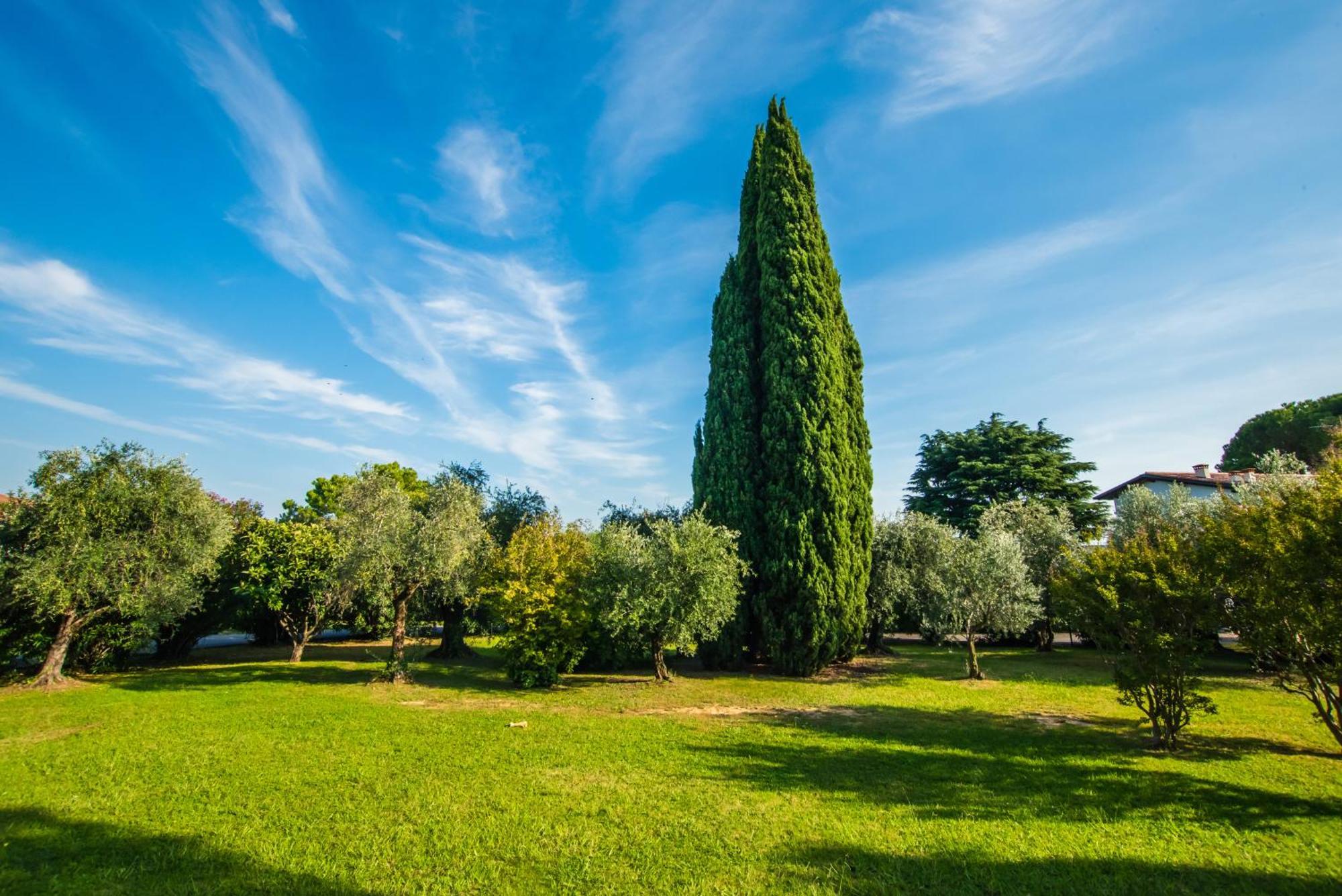 Marialuisa'S Home - Residence Gardoncino Manerba del Garda Eksteriør billede
